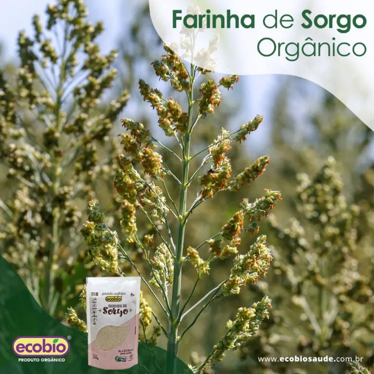 Farinha de Sorgo Orgânico